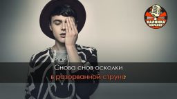 Alekseev - Снов Осколки