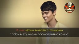 Alekseev - Чувствую душой