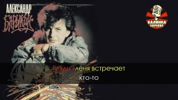 Александр Барыкин - Аэропорт